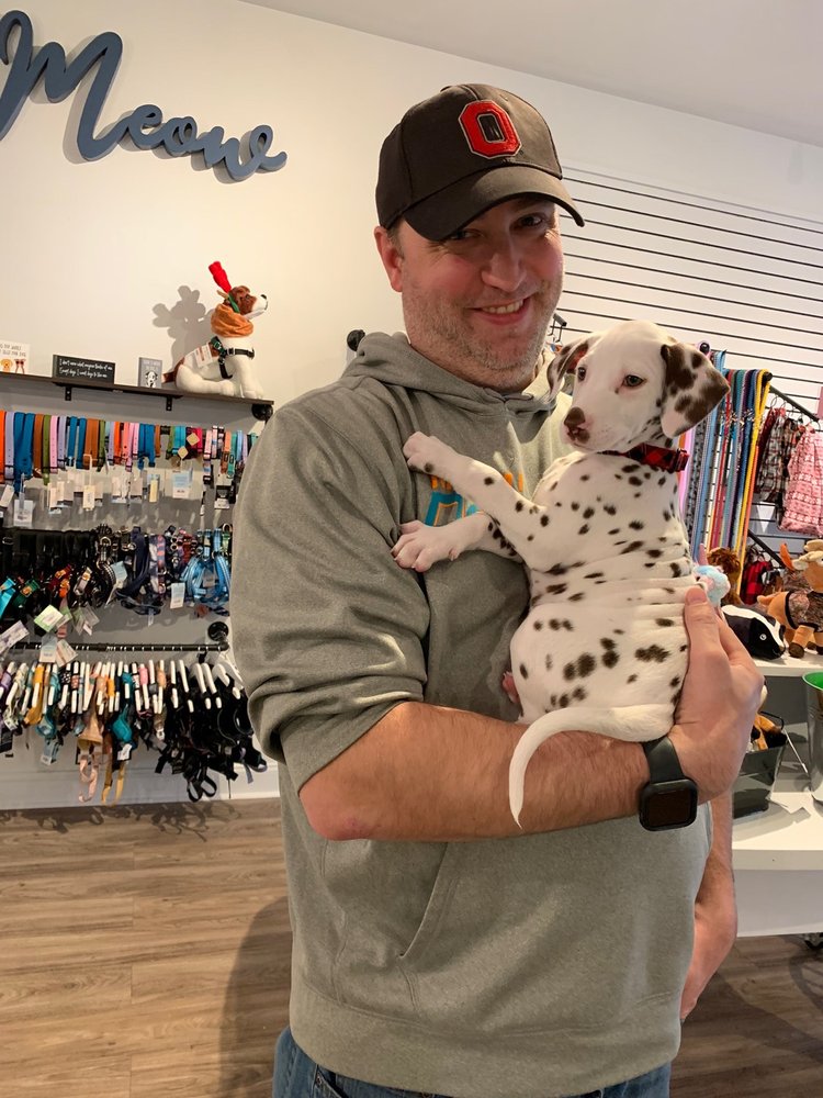 Modern Companion Image