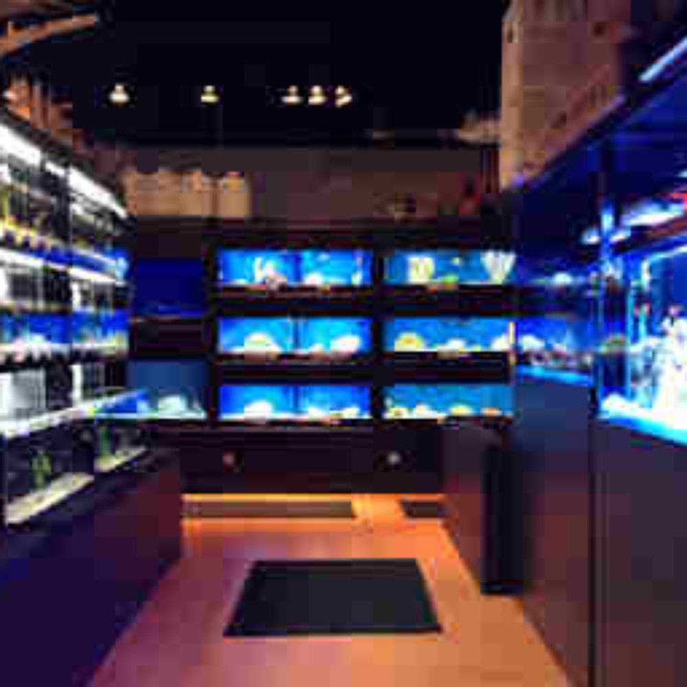 The Fish Room - Local Fish Stores Near Me - Cary, North Carolina