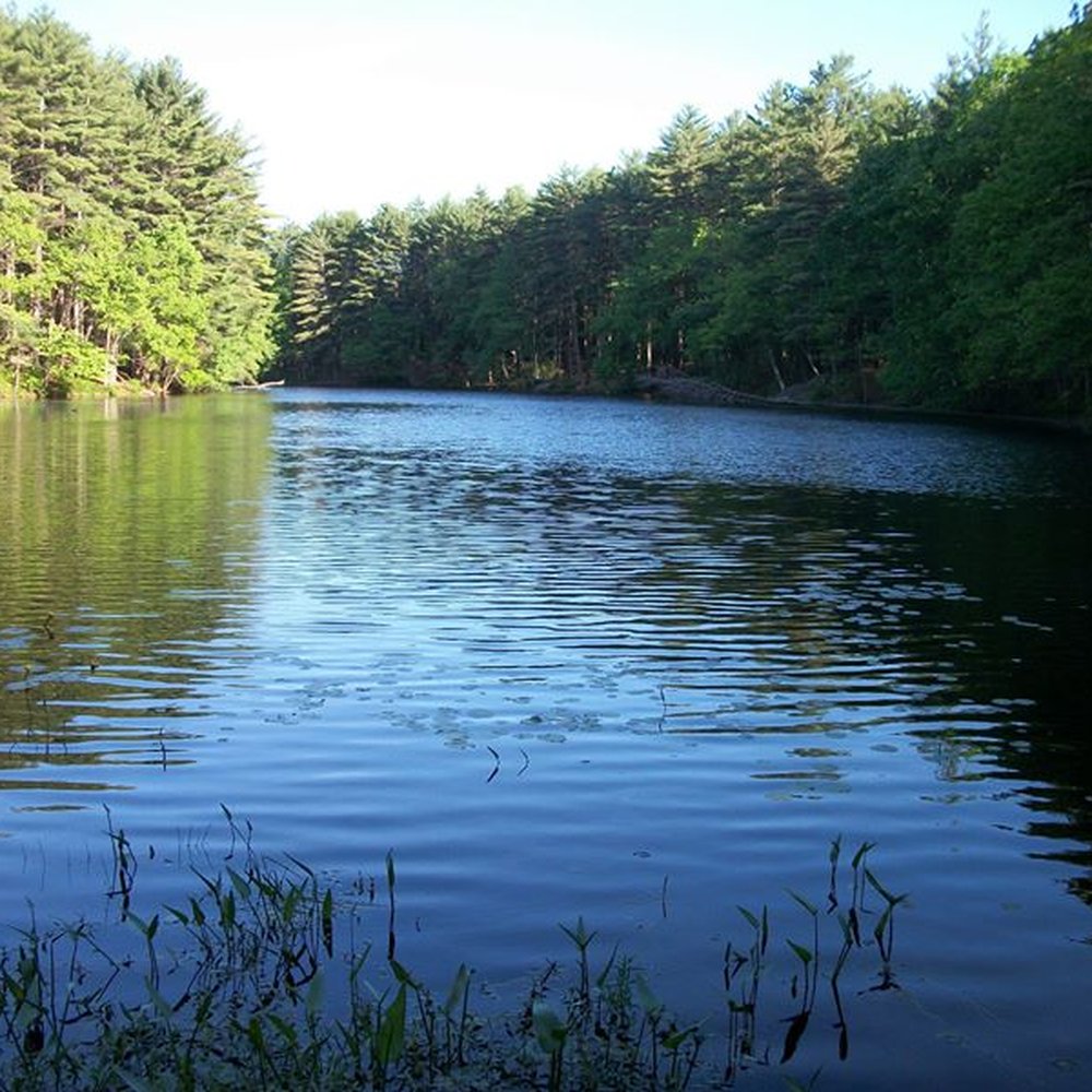 Lorraine Park Campground - lake - Campgrounds Near Me Lorraine Park Campground - lake - Campgrounds Near Me