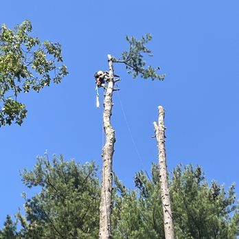 1. Mountain Top Tree Service
