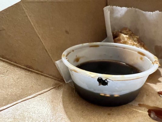 Giraffe Ramen by null