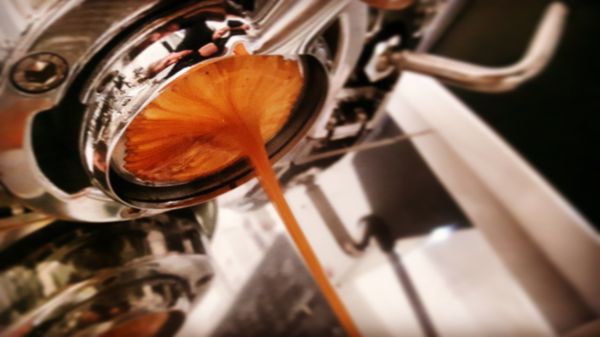 Tim & Sebastian's - Specialty Coffee Roastery by null
