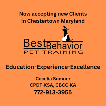 Best Behavior - Pet Training Near Me - Chestertown, Maryland Best Behavior - Pet Training Near Me - Chestertown, Maryland