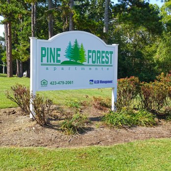 Pine Forest Apartments - Property Signage - Apartments Near Me - Cleveland, Tennessee Pine Forest Apartments - Property Signage - Apartments Near Me - Cleveland, Tennessee