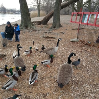 Prospect Park Lake - Parks Near Me Prospect Park Lake - Parks Near Me