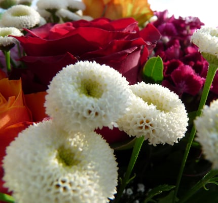 BLUME 2000 Updated May 2025 20 Photos & 31 Reviews Gutenbergring