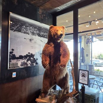 YETI Flagship Store - Hunting & Fishing Supplies Near Me - Austin, Texas YETI Flagship Store - Hunting & Fishing Supplies Near Me - Austin, Texas