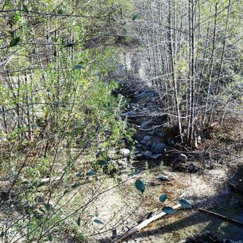 El Prieto Trail - Hiking Near Me - Pasadena, California