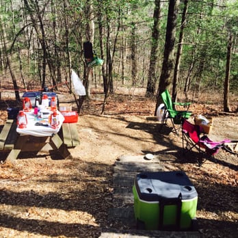 Ash Grove Mountain Cabins & Camping - Our campsite - Hotels Near Me - Brevard, North Carolina