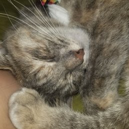 My baby