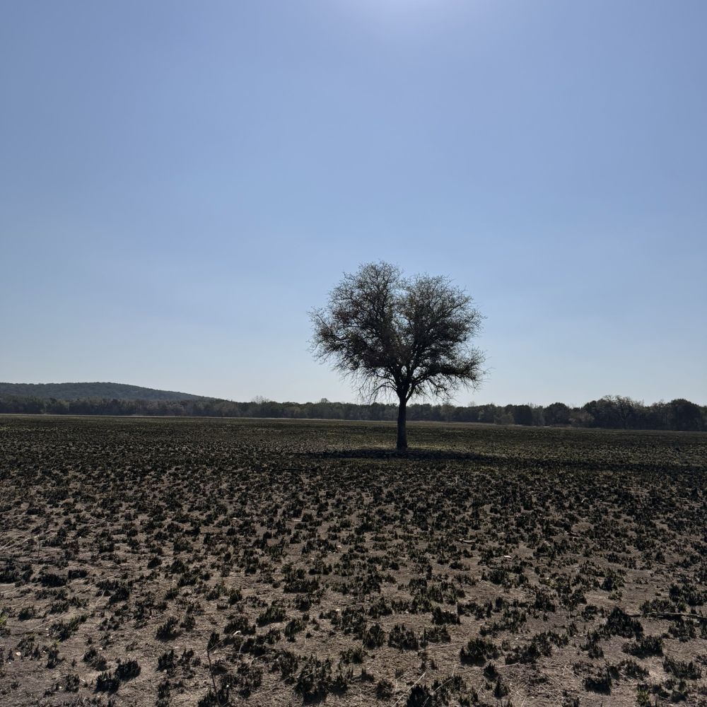 Dinosaur Valley State Park - Parks Near Me - Glen Rose, Texas