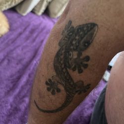 Inks Landing Tattoo - Gecko