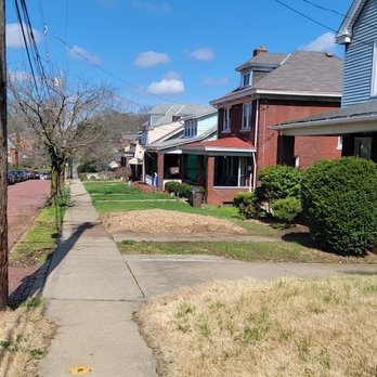 Allstar Arbor Tree Service - Tree Services Near Me Allstar Arbor Tree Service - Tree Services Near Me