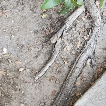 Golden Bee Management - Kindling - Property Management Near Me - Los Angeles, California