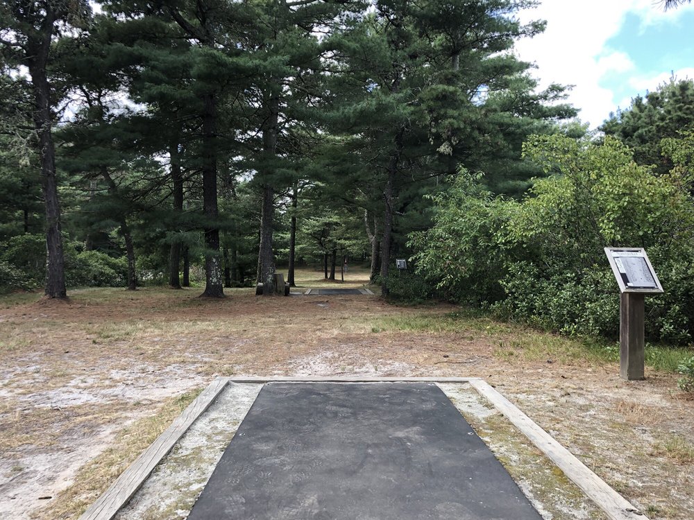 Nantucket Disc Golf Course Logo