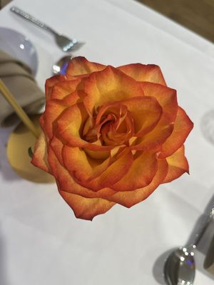 Cafe St. Petersburg by null