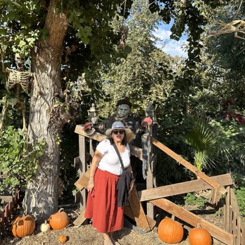Live Oak Canyon Pumpkin Patch and Christmas Tree Farm - Christmas Trees Near Me - Redlands, California Live Oak Canyon Pumpkin Patch and Christmas Tree Farm - Christmas Trees Near Me - Redlands, California