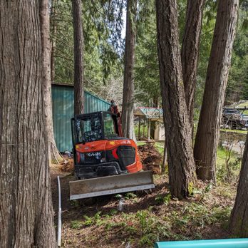 Bamford Septic Repair - Difficult trenching between trees - Septic Services Near Me - Shelton, Washington Bamford Septic Repair - Difficult trenching between trees - Septic Services Near Me - Shelton, Washington