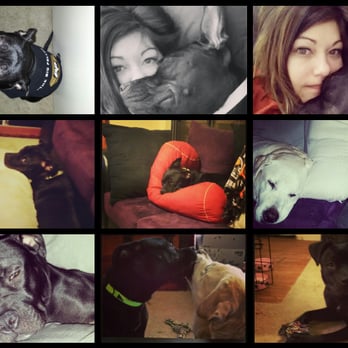 Austin Pets Alive! - My Luna (Penelope)! Thanks Philip for all your help with my dog adoption! - Animal Shelters Near Me - Austin, Texas Austin Pets Alive! - My Luna (Penelope)! Thanks Philip for all your help with my dog adoption! - Animal Shelters Near Me - Austin, Texas