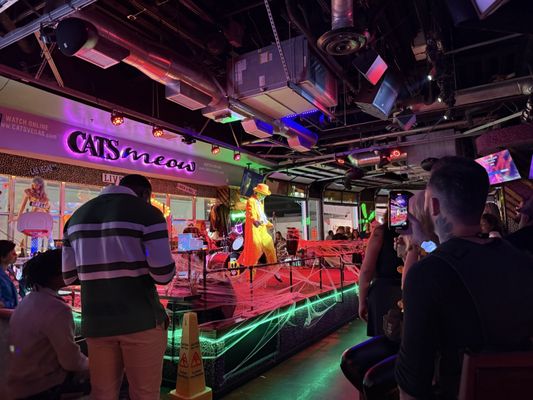 Cat's Meow Las Vegas by null