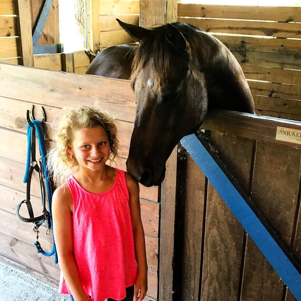 Purchasing - equestrian in Largo, FL