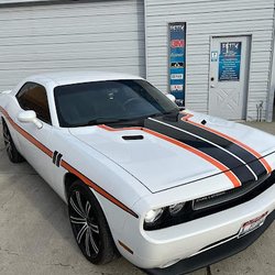 PettyWraps/PPF&Tint
