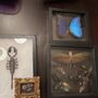 Crow’s Curiosities