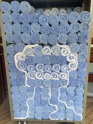 Princess Cruises by null