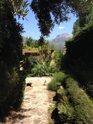 MUCBO | Jardí Botànic de Sóller by null