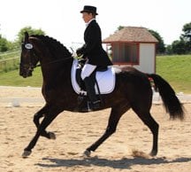 Sunborn Stables - equestrian in Chisago City, MN