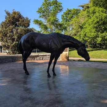 Kentucky Horse Park - Cody in Profile - Parks Near Me - Lexington, Kentucky Kentucky Horse Park - Cody in Profile - Parks Near Me - Lexington, Kentucky