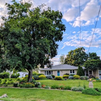 A Cut Above the Rest Tree Service - Before. A big, beautiful but failing maple. - Tree Services Near Me A Cut Above the Rest Tree Service - Before. A big, beautiful but failing maple. - Tree Services Near Me