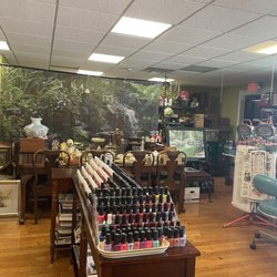 Nail Plus