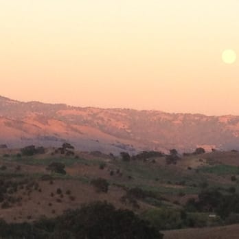 Calero County Park - The moon shining bright at sunset... - Parks Near Me - San Jose, California Calero County Park - The moon shining bright at sunset... - Parks Near Me - San Jose, California