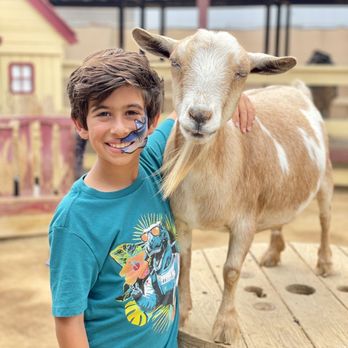 River Street Ranch - Petting Zoos Near Me - San Juan Capistrano, California River Street Ranch - Petting Zoos Near Me - San Juan Capistrano, California