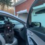 Photo of Custom Sun Control Glass Coating & Tinting