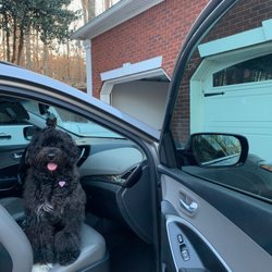 Custom Sun Control Glass Coating & Tinting - Simple loves the new tint on Nana's car.