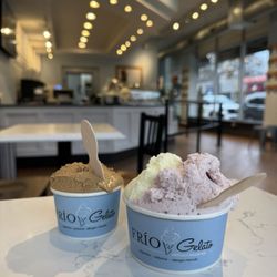 FRÍO Gelato - Evanston - Strawberry & pina colda Dulce De Leche