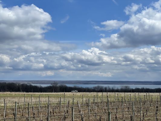 Kemmeter Wines by null