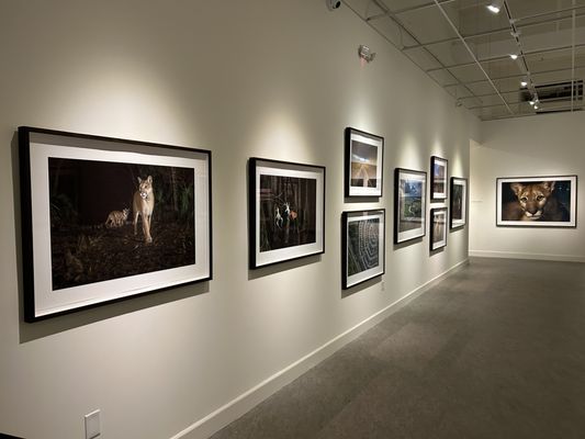 The Florida Museum of Photographic Arts by null