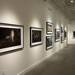 Florida Museum of Photographic Arts