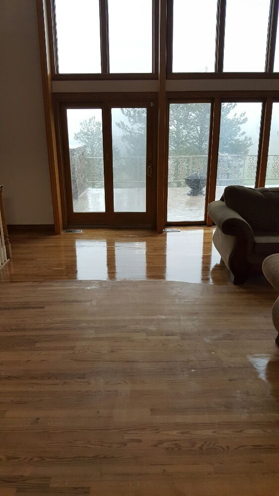 MILE HIGH CARPET RESCUE Updated April 2024 10 Photos Westminster