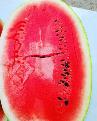 The Farmers Market at Brock's Gap by null
