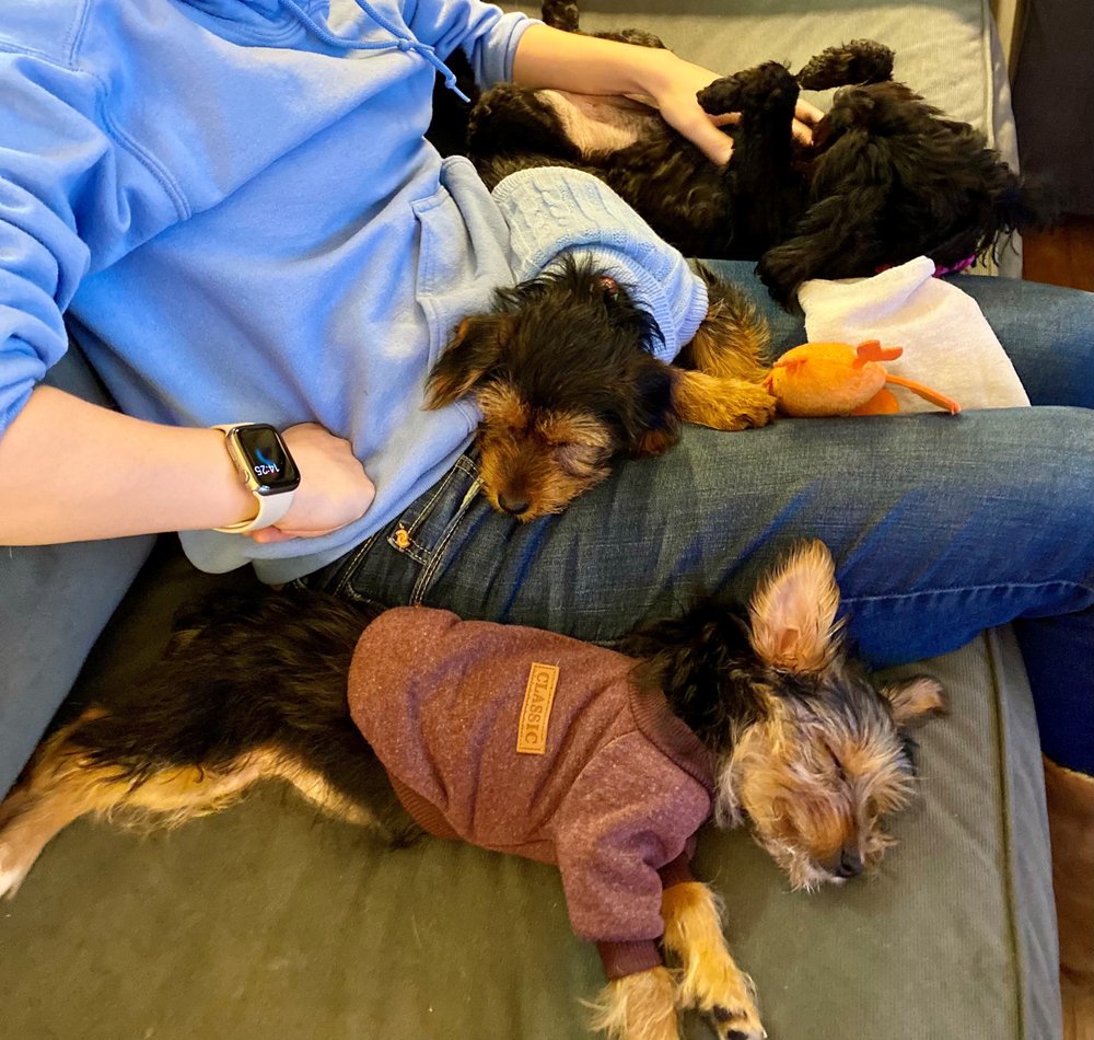 WINDSOR OAK FARM 98 Photos & 38 Reviews Pet Stores 10209