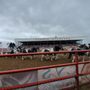 Photo of Ponoka Stampede