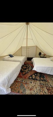 Adirondack Safari by null