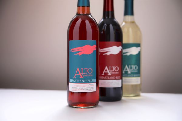 Alto Vineyards by null