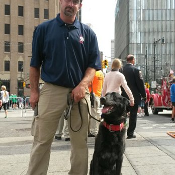 K9 Unlimited - Pet Training Near Me K9 Unlimited - Pet Training Near Me