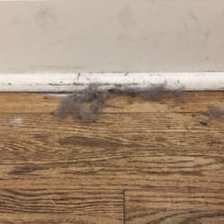 American Eagle Outfitters - So much of this crap everywhere!