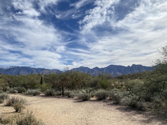 Honey Bee Canyon by null